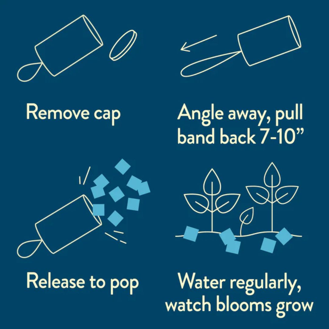Flower Seed Confetti – Bravo Blue – Modern Sprouts